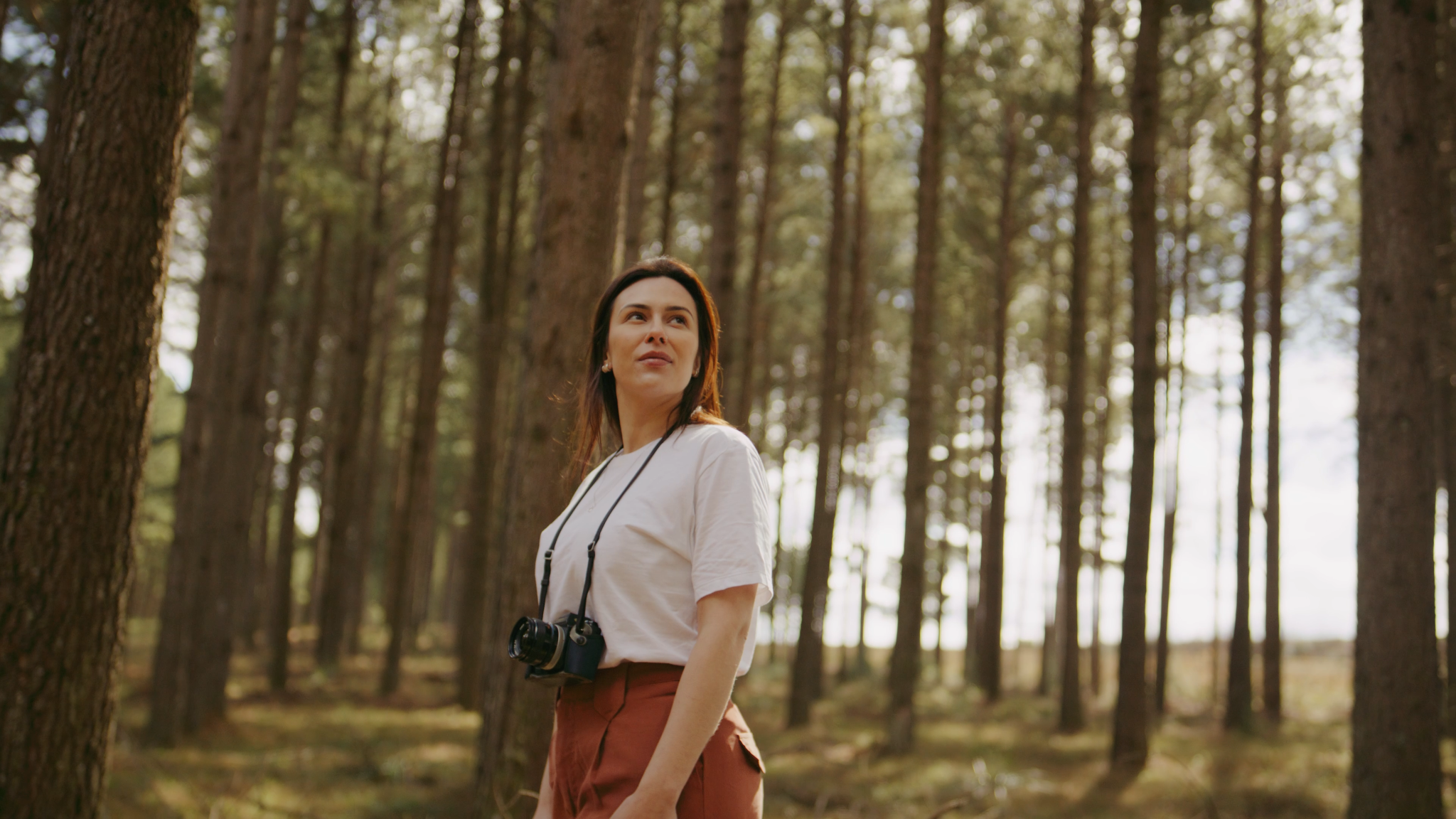Frame do filme Il Sogno 5