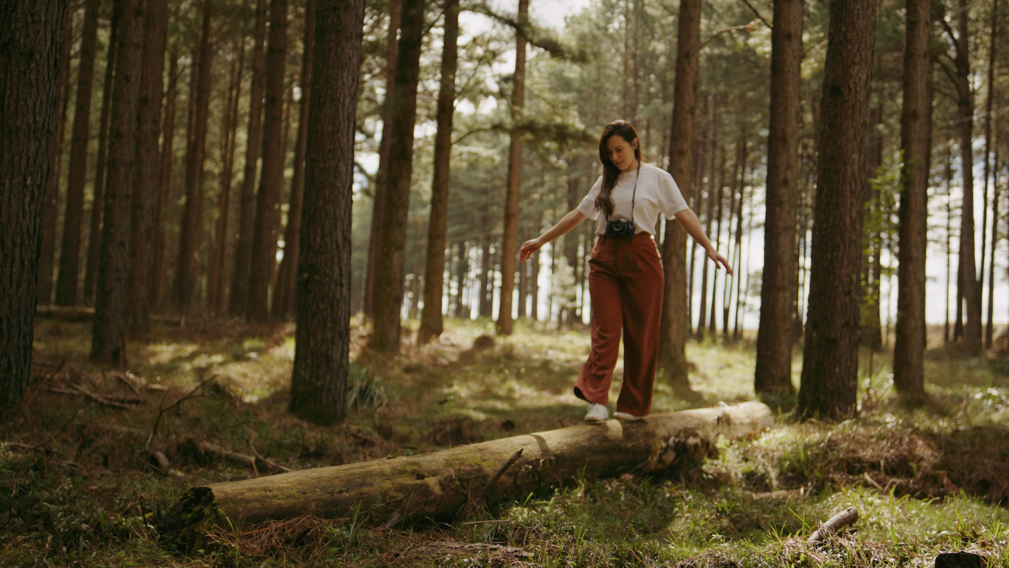 Frame do filme Il Sogno 6